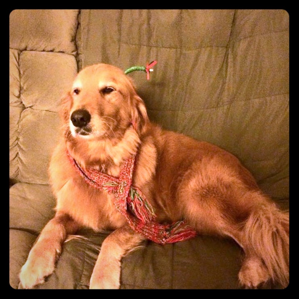 Meet your Posher, Alanna